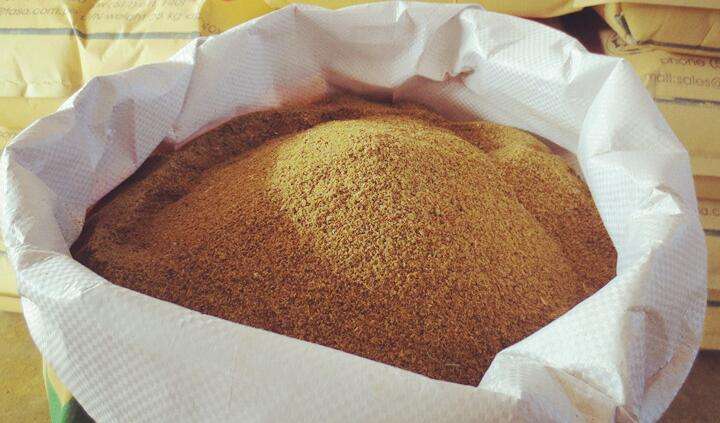 Fish meal